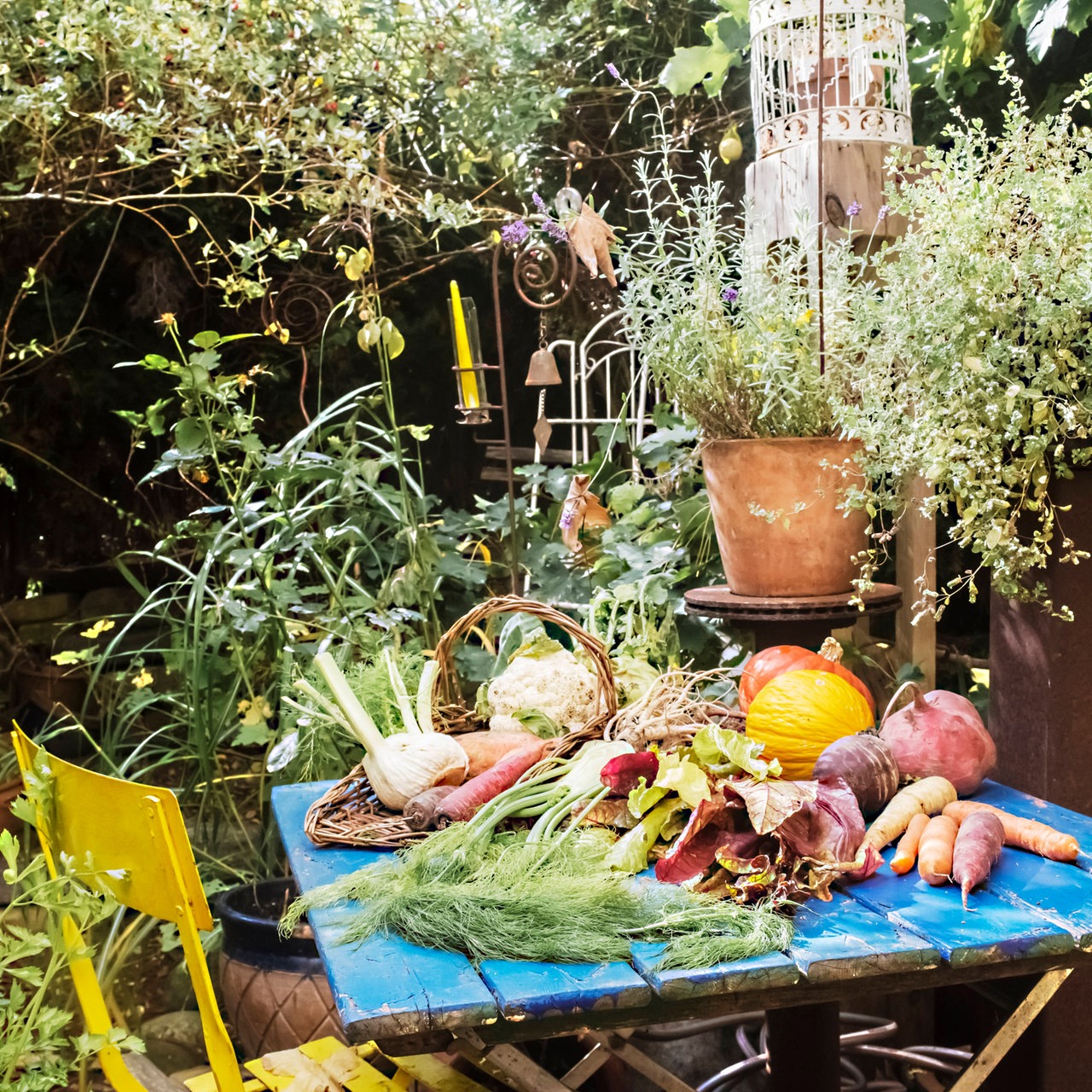 Biopflanzen auf einem Gartentisch