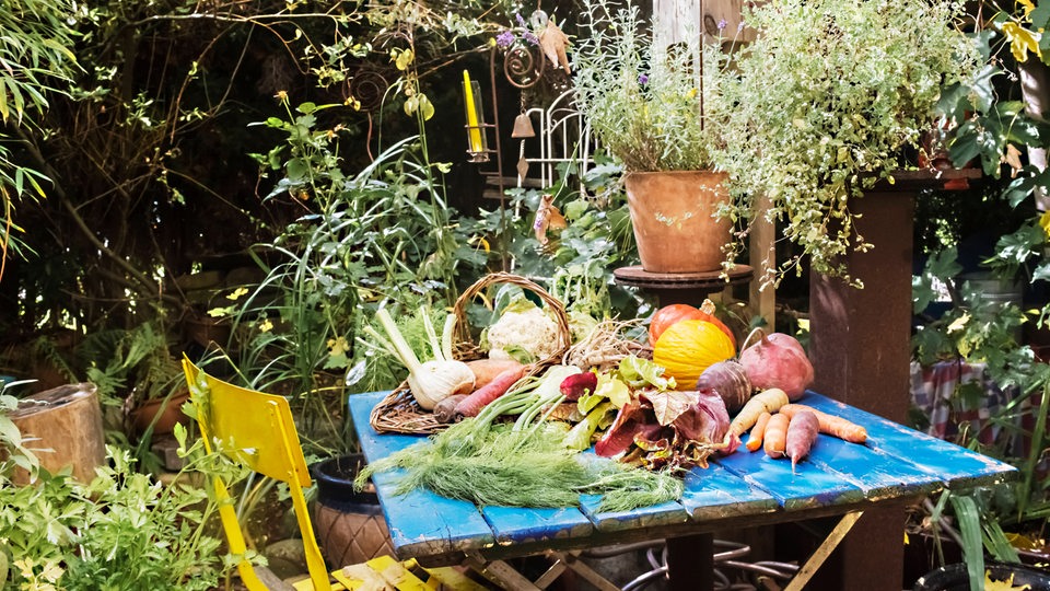 Biopflanzen auf einem Gartentisch