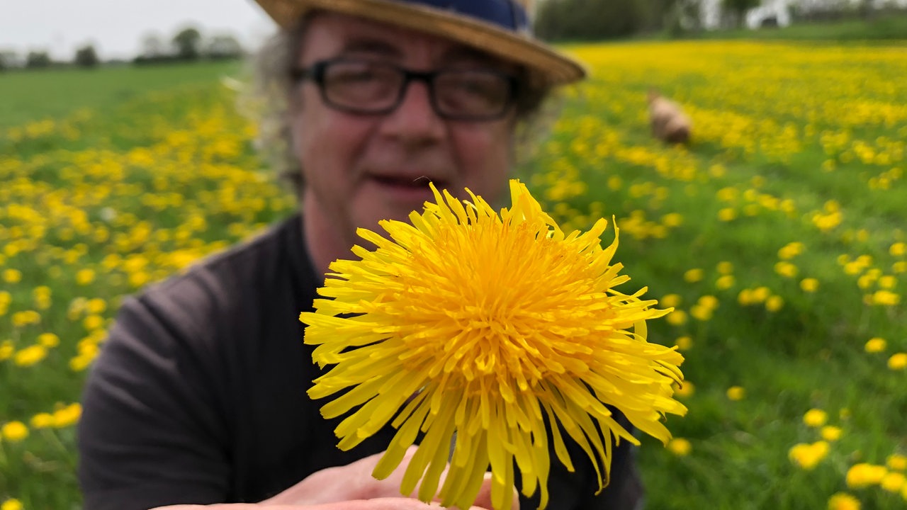 Jens Schellhass mit Löwenzahn